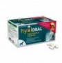 Diseño antigo o viejo del Hyaloral razas mini, pequeñas y medianas Diseño antigo o viejo del Hyaloral razas mini, pequeñas y medianas