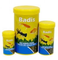 Badis escama para peces agua fría