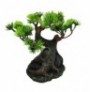 Duvo bonsai decoración acuario