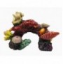 Duvo coral decoración acuario n2
