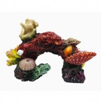 Duvo coral decoración acuario n2