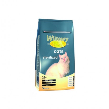 Willowy gold cats sterilized (gato esterilizado)