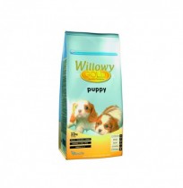 Willowy gold puppy (cachorros)