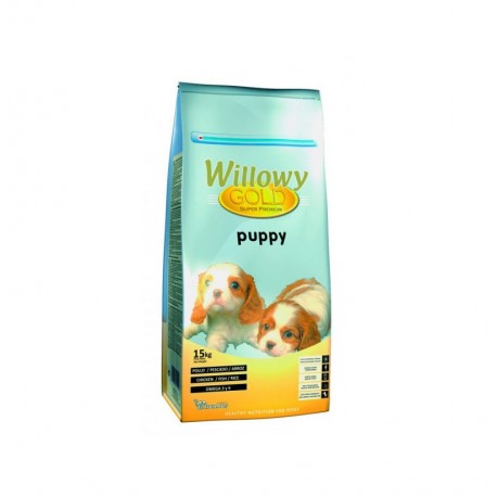 Willowy gold puppy (cachorros)