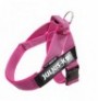 Arnés julius idc® de cinta rosa Arnés julius idc® de cinta rosa