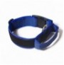Collar julius-k9 con asa azul - color & gray Collar julius-k9 con asa azul - color & gray