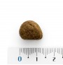 Medida y tamaño muestra croqueta natura diet reduced -20% calories para adelgazar Medida y tamaño muestra croqueta natura diet reduced -20% calories para adelgazar