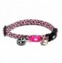 Max & molly collar leopardo rosa para gatos Max & molly collar leopardo rosa para gatos