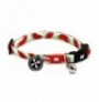 Max & molly collar watermelon para gatos