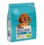 Dog Chow Puppy de Cordero para cachorros