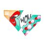 Bandana o pañuelo de ropa missy pop para perros max & molly