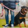 Muestra conjunto Retro Pink de Max & Molly de persona y su mascota