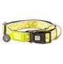 Collar kiwi para perros max & molly