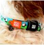 Perro con el collar Black Sheep de Max & Molly Perro con el collar Black Sheep de Max & Molly