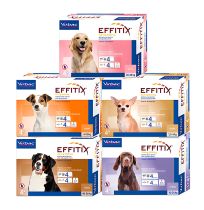 Cajas o envases de todos los formatos de Effitix de 4 pipetas para perros
