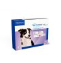 2da Vista lateral Pipetas Effipro Duo perros medianos de 10 a 20Kg de peso