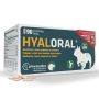 Nuevo diseño Hyaloral para razas mini, pequeñas y medianas de 90 comprimidos Nuevo diseño Hyaloral para razas mini, pequeñas y medianas de 90 comprimidos