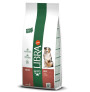 Libra adult buey pienso para perros en formato de 14Kg
