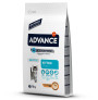 Advance kitten pollo y arroz gatos 10Kg