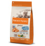 Pienso Affinity Nature's variety cat selected salmón noruego para gatos en saco de 1,25Kg
