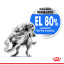 Royal canin medium light weight care para perros Royal canin medium light weight care para perros