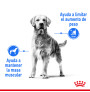 Royal canin maxi light weight care para perros Royal canin maxi light weight care para perros