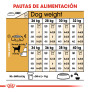 Royal canin labrador retriever adult Royal canin labrador retriever adult