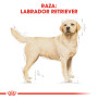 Royal canin labrador retriever adult Royal canin labrador retriever adult