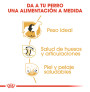 Royal canin labrador retriever adult Royal canin labrador retriever adult