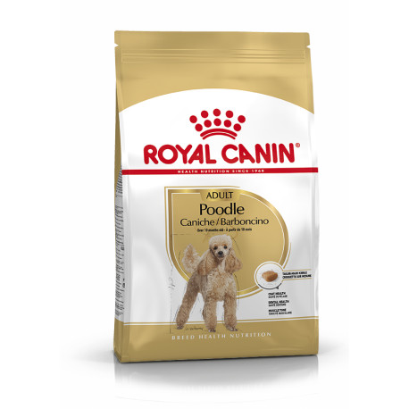 Royal canin caniche adult