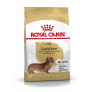 Royal canin teckel adult