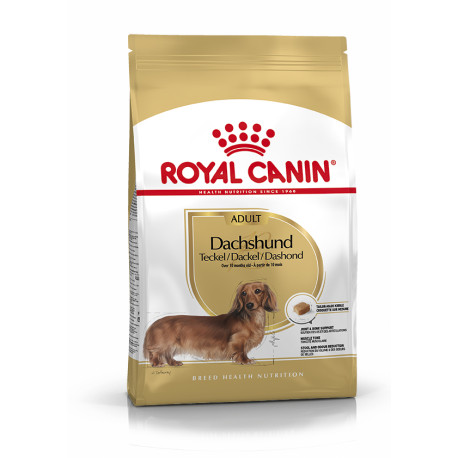 Royal canin teckel adult