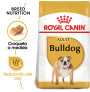 Royal canin bulldog adult
