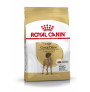 Royal canin gran danés adult Royal canin gran danés adult