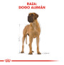 Royal canin gran danés adult Royal canin gran danés adult