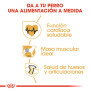 Royal canin rottweiler adult Royal canin rottweiler adult