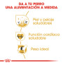 Royal canin golden retriever adult Royal canin golden retriever adult