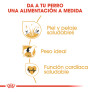 Royal canin cocker adult Royal canin cocker adult