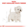 Royal canin westie adult Royal canin westie adult