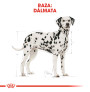 Royal canin dálmata adult Royal canin dálmata adult