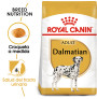 Royal canin dálmata adult Royal canin dálmata adult