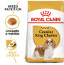Royal canin cavalier king charles adult Royal canin cavalier king charles adult