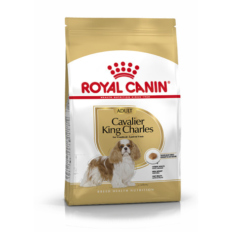 Royal canin cavalier king charles adult