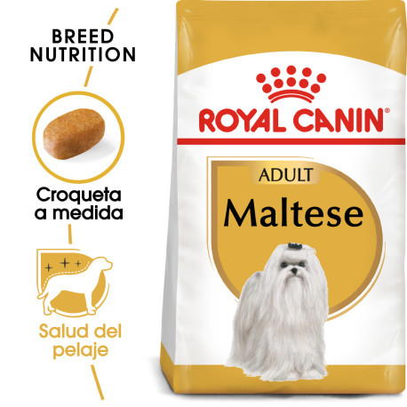 Royal canin bichón maltés adult Royal canin bichón maltés adult