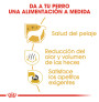 Royal canin bichón maltés adult Royal canin bichón maltés adult