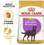 Royal canin labrador retriever adult sterilised Royal canin labrador retriever adult sterilised