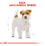 Royal canin jack russell adult