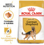 Royal canin pastor alemán adult Royal canin pastor alemán adult