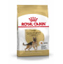 Royal canin pastor alemán adult Royal canin pastor alemán adult