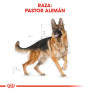 Royal canin pastor alemán adult Royal canin pastor alemán adult